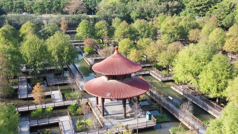 Cypress cypress and wooden boardwalk leisure pavilion in Wetland Park