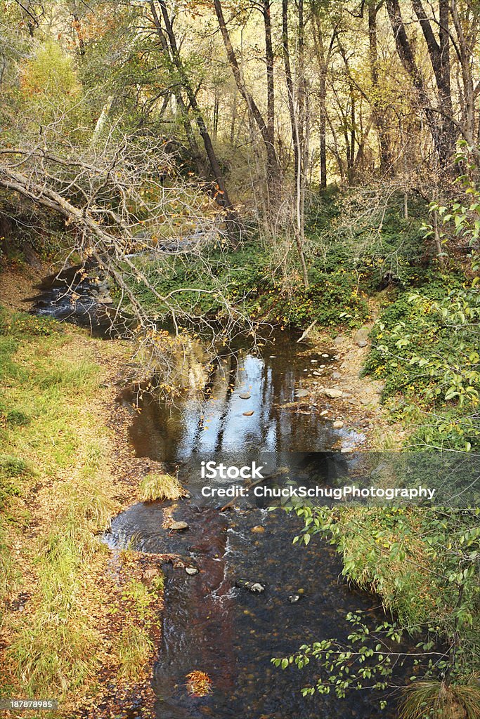 Canyon Creek Landschaft - Lizenzfrei Arizona Stock-Foto