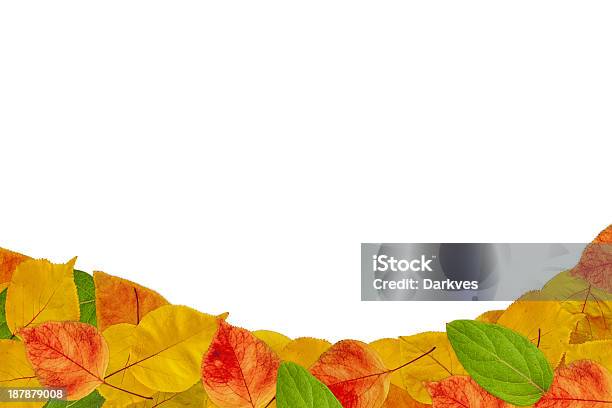 Herbstfooter Stockfoto und mehr Bilder von Alterungsprozess - Alterungsprozess, Ansicht aus erhöhter Perspektive, Ausgedörrt