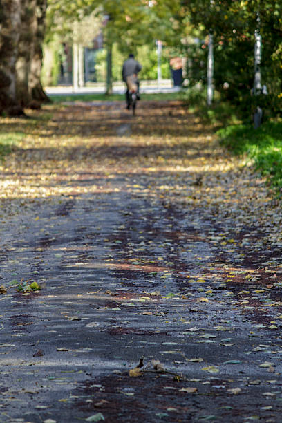 Automne leafs park road - Photo