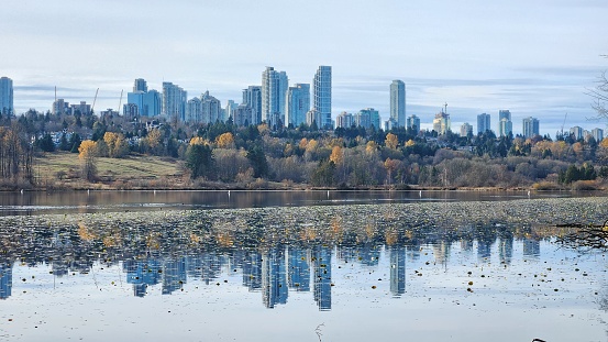Beautiful skyline of downtown Burnaby comprised of highrise buildings seen through autumn leaves, with a tranquil lake at the front