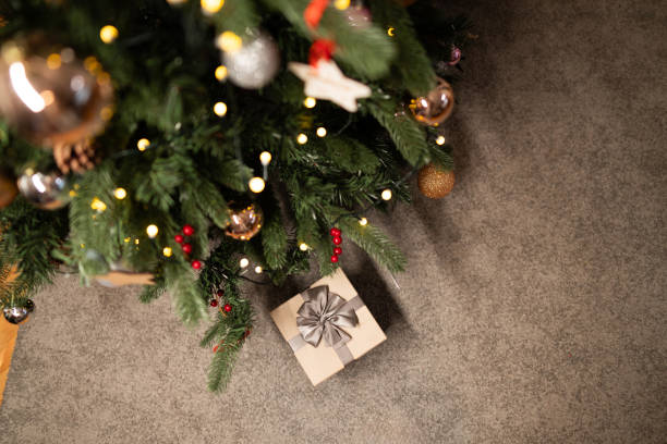 istock Enjoying Christmas holidays at home 1878812872