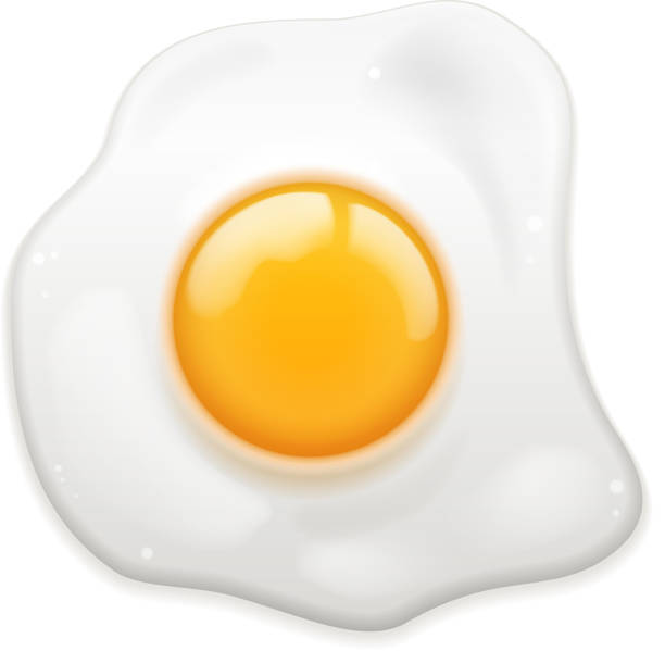 달걀부침 - eggs fried egg egg yolk isolated stock illustrations