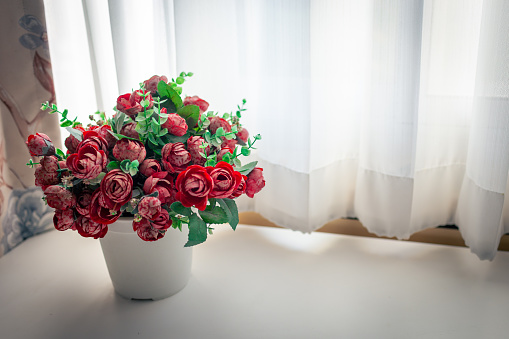 Roses in a vase on a table next to a window lined with white curtains closeup detail art