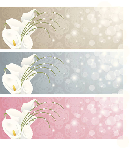 ilustraciones, imágenes clip art, dibujos animados e iconos de stock de calla lilies. - calla lily lily single flower white