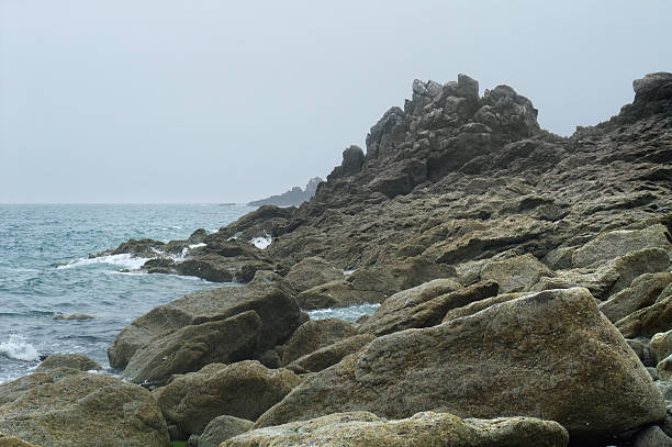 岩の海岸のディテール - moistness ストックフォトと画像