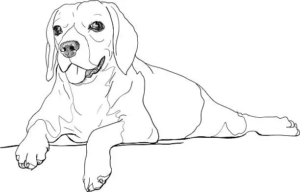 Vector illustration of The rest time of beagle