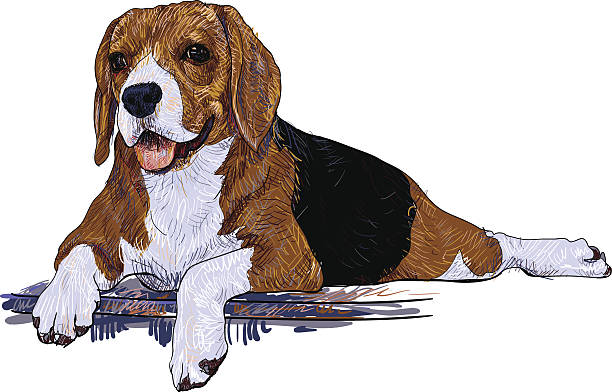 160+ How To Draw A Dog Lying Down Drawing Illustrations, Royalty-Free