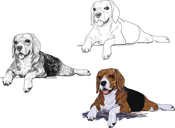 나머지 시간 비글종 - tracing red pets dog stock illustrations