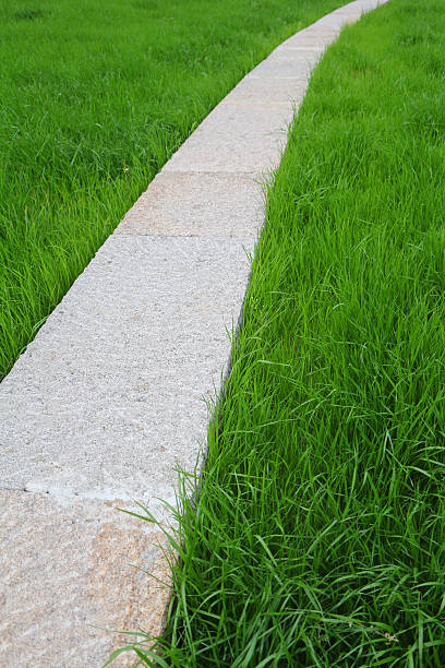istock Curved Stone road and lawn 187888453