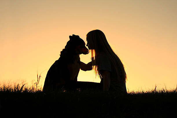 Woman Hugging Dog Silhouette stock photo