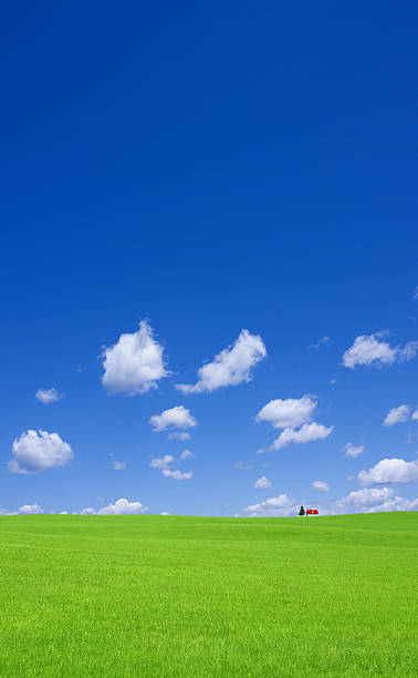 istock Green hill and red roof house 187891686