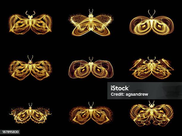 Kolekcja Fraktal Motyle - zdjęcia stockowe i więcej obrazów Abstrakcja - Abstrakcja, Aranżacja, Biologia - Nauka