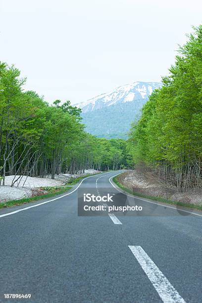 Road Im Frühen Frühling In Den Bergen Stockfoto und mehr Bilder von Asphalt - Asphalt, Baum, Biegung