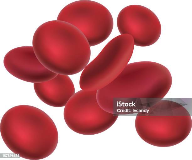 Blood Cells Stock Illustration - Download Image Now - Blood Cell, Red Blood  Cell, Animal Blood - iStock