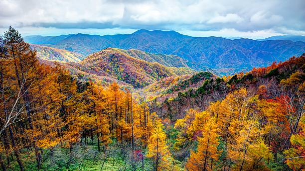 istock National Park in Japan 187898536