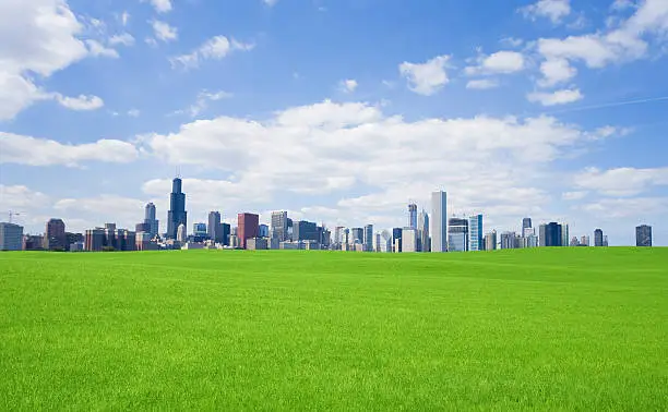 Photo of Green grass and  chicago downtown