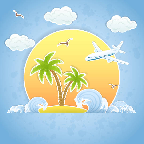 island und flugzeug - tropical climate airplane island hawaii islands stock-grafiken, -clipart, -cartoons und -symbole