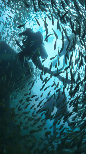 istock Scuba divers surrounded by school of fish at a shipwreck 1879001321
