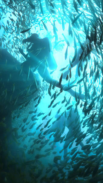istock Scuba divers surrounded by school of fish at a shipwreck 1879001322