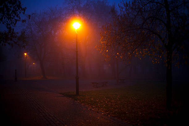 magic lights in the park stock photo