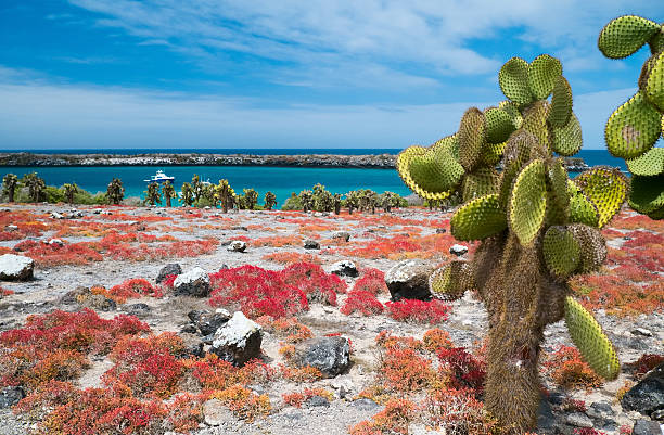 istock South Plaza island 187906326