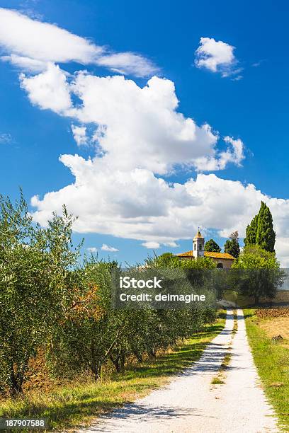 Strada Di Campagna Con Alberi Di Ulivo - Fotografie stock e altre immagini di Agricoltura - Agricoltura, Albero, Ambientazione esterna