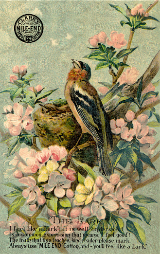 Chromolithograph of the lark outdoors in spring by a nest on a tree branch. The bird shown is actually a chaffinch, Fringilla spodiogenys. Advertising trade card for Clark's Mile-End sewing thread. Artwork by Hector Giacomelli. Donaldson Brothers 1872-1891, lithographer.