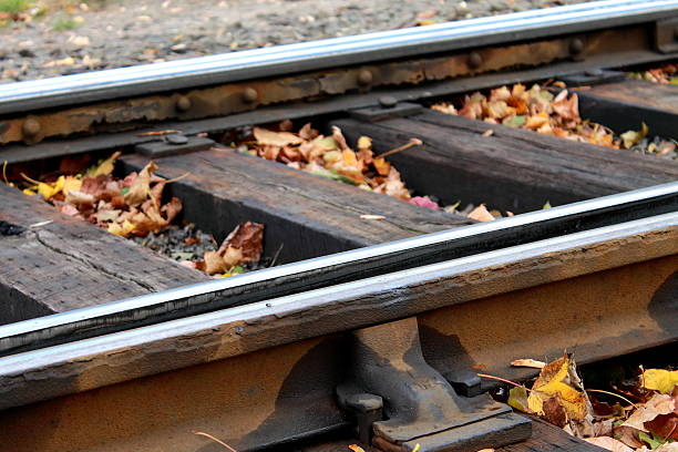 Rail Road Tracks Autumn Close Front Focus Point stock photo