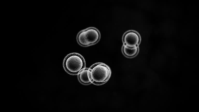 Cell Multiplying Process Gif 4,500+ Cell Division Stock Videos and Royalty-Free Footage - iStock