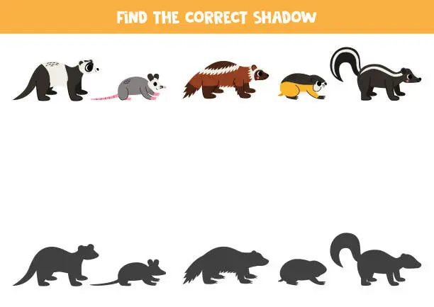 Vector illustration of Find shadows of cute North American animals. Educational logical game for kids.