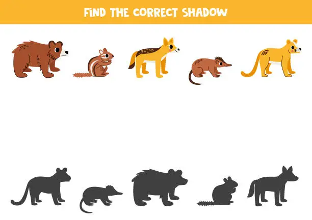 Vector illustration of Find shadows of cute North American animals. Educational logical game for kids.