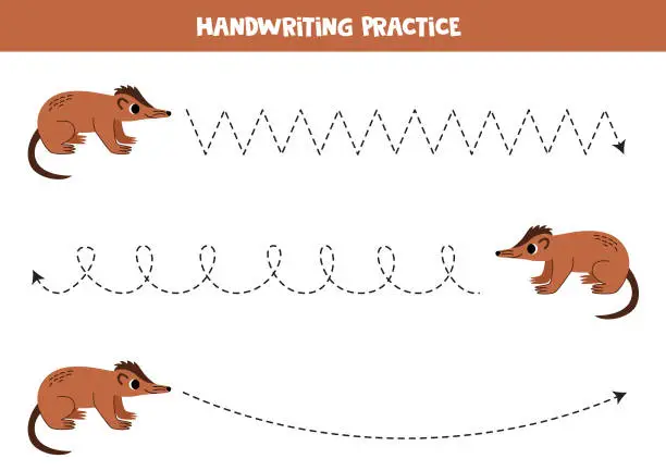 Vector illustration of Tracing lines for kids.  Cute cartoon solenodon. Handwriting practice.