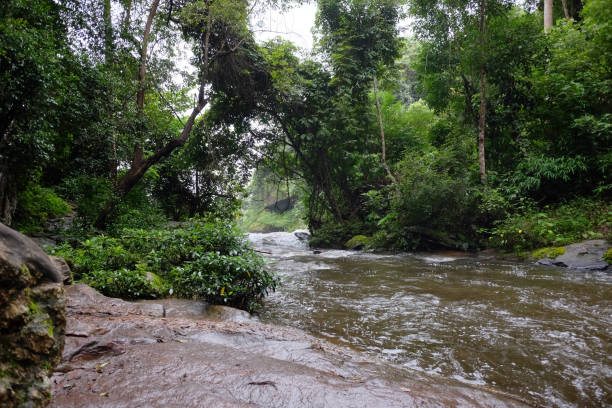 istock Freshness landscape for water fall and Stream flowing through rocks in tropical rain forest and greenery wild jungle in Thailand 1879118436