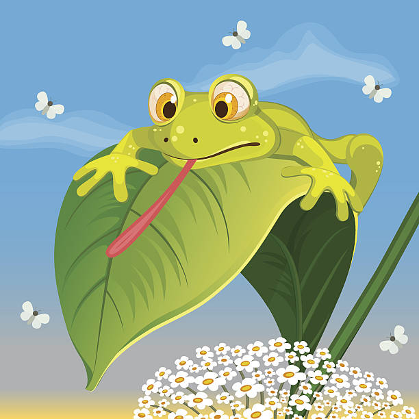 лягушка ловить бабочек - frog animal tongue animal eating stock illustrations