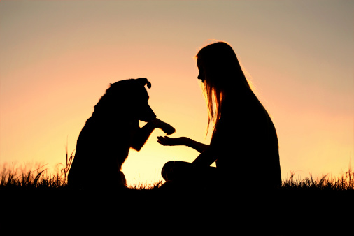 Mujer y su perro estrechándose las manos silueta photo
