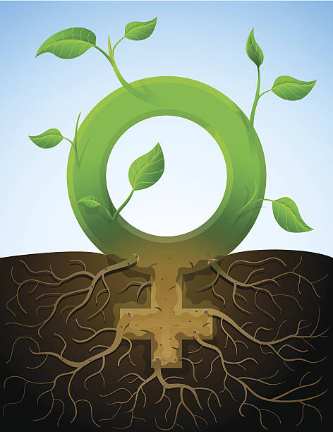 成長している女性のシンボルのような植物の葉、根 - teenage sex点のイラスト素材／クリップアート素材／マンガ素材／アイコン素材