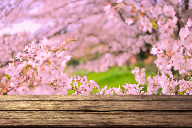 istock wooden table with pink flowers background 1879165913