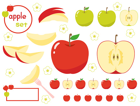 A set of illustrations of red and green apples. There are also cut apples.