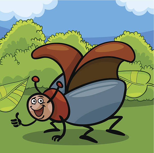 bildbanksillustrationer, clip art samt tecknat material och ikoner med beetle insect cartoon illustration - melolontha melolontha