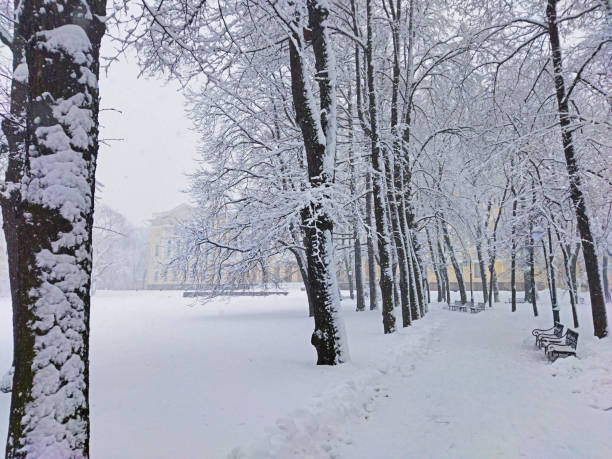 Saint Petersburg, Russia, February 16, 2025: Ancient wall of the Marlinsky earthen rampart in the Lower Park of Peterhof on a sunny winter day
