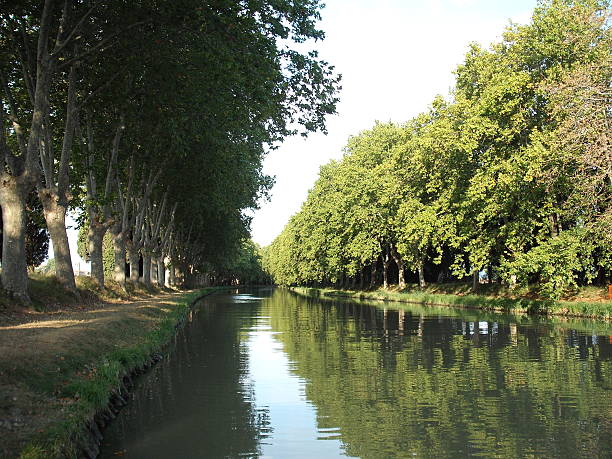 istock Calm Water Of The Canal Du Midi 187919030