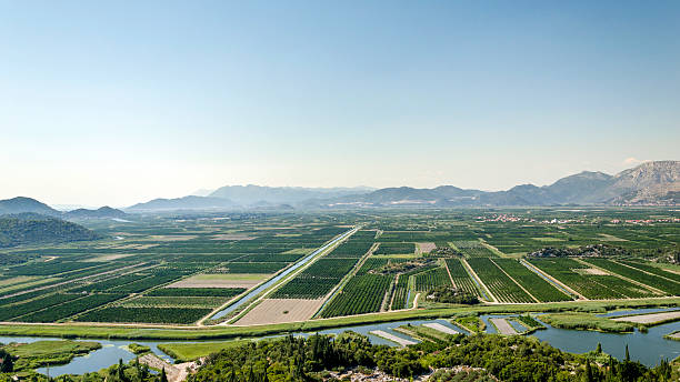 Agriculture of Neretva valley stock photo
