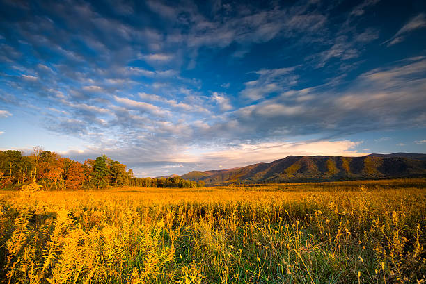 en fin d'après-midi sur hyatt lane - cades cove photos et images de collection