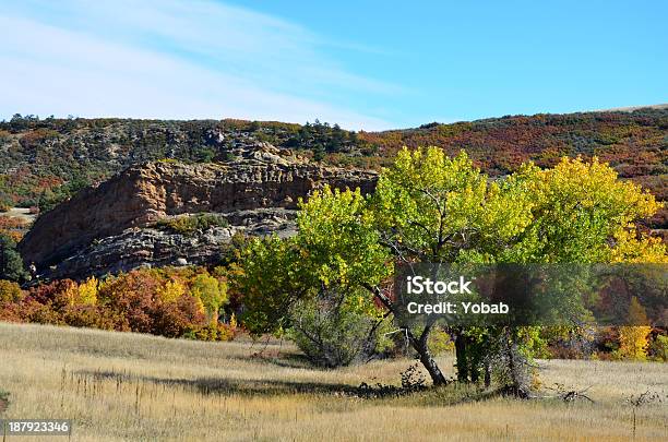 Foto de Roxborough State Park e mais fotos de stock de Amarelo - Amarelo, Beleza, Bosque - Floresta