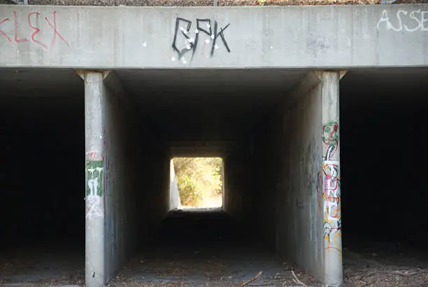 Symmetrical concrete underpass with tagging and graffiti giving a tunneled perspective.
