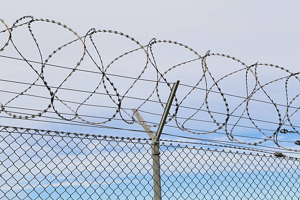 Barbed wire fence stok fotoğrafı