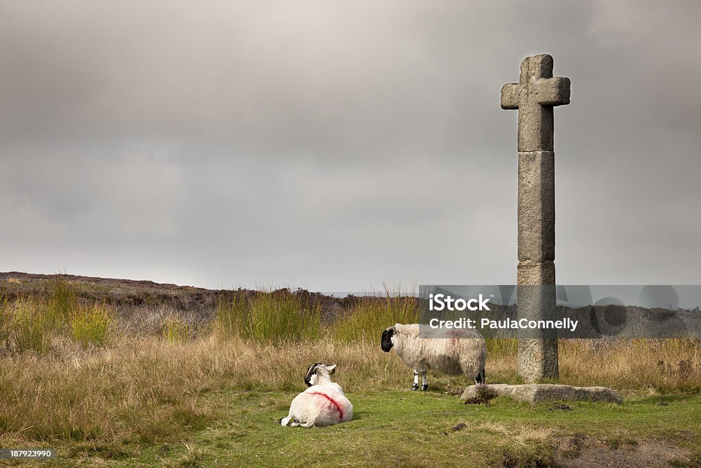 La Moorland cruce - Foto de stock de Aire libre libre de derechos