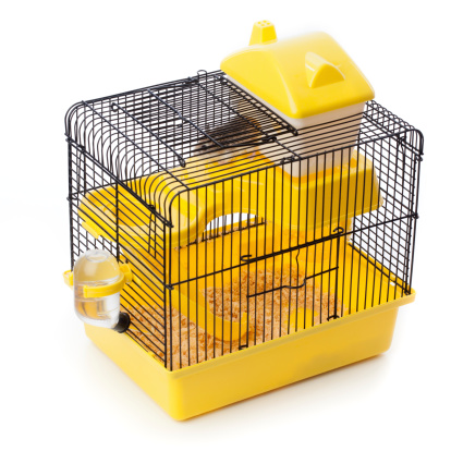 Little hamster in a cage isolated on white.