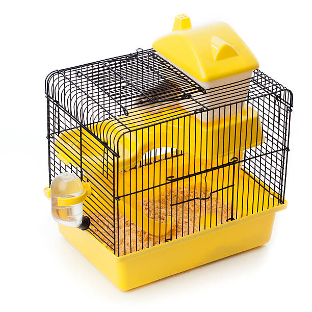 Hamster in a cage stock photo